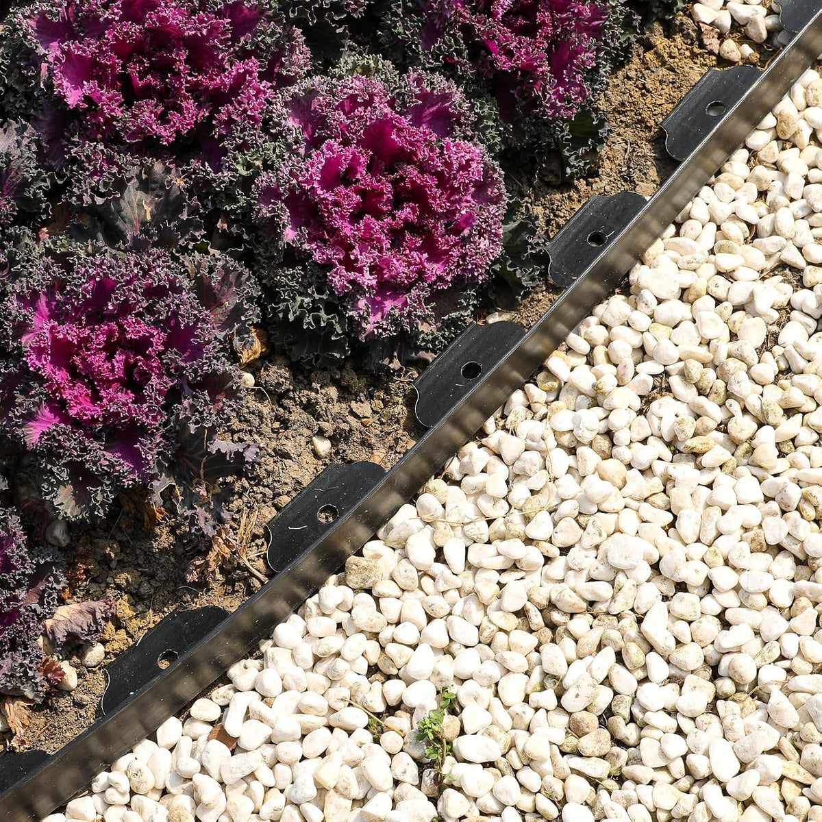 1.5 Inch 100FT Garden Edging Border